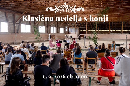 Klasična nedelja s konji: Za male in velike